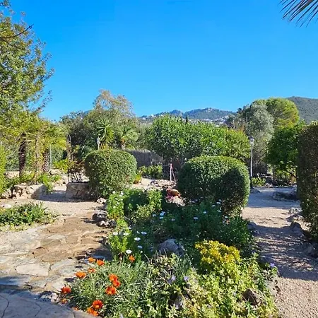 Jazmines, Monte * Pego